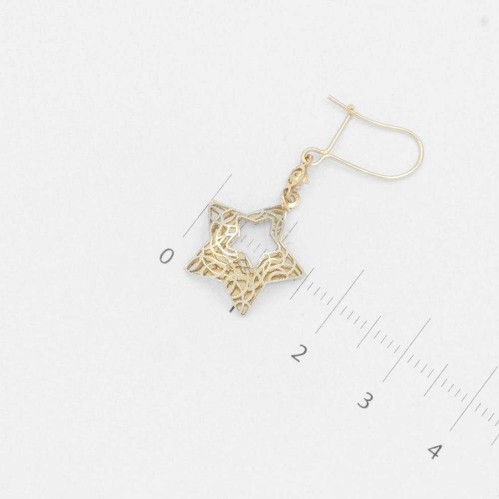 Arete de Oro 14k Estrella de Fondo Brillante y Calado FIno  mod. 7766